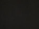 BIO Bündchen schwarz